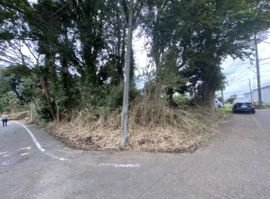 海老名市 山林 1123㎡